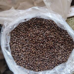 Korerima/cardamom/